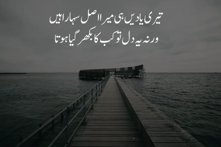 Aesthetic Poetry in Urdu Text - Top 300+ Best 2 Lines Shayari