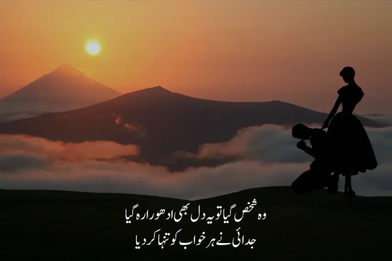 Best Alvida Poetry in Urdu Text - 230+ 2 Lines Goodbye Shayari