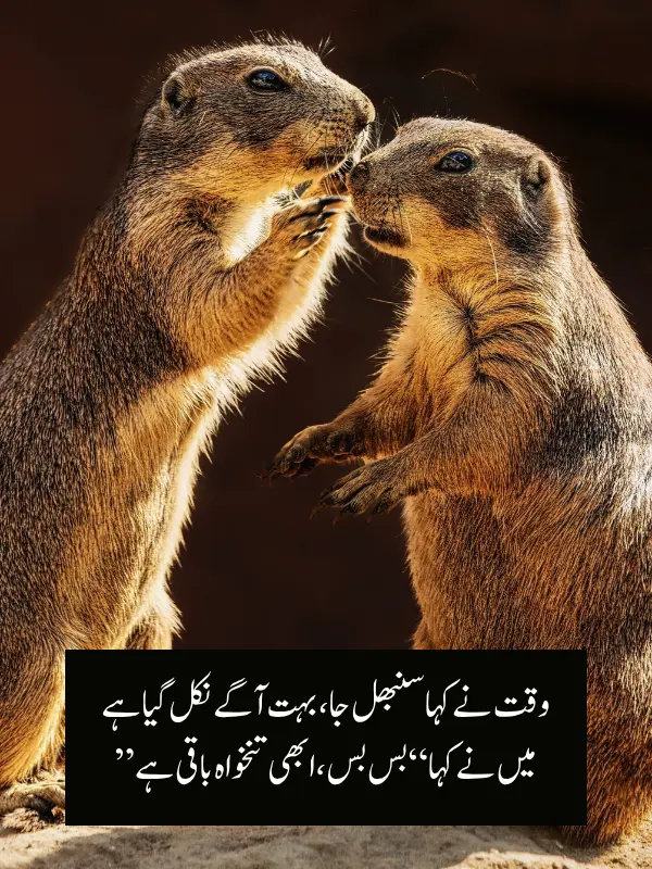 Comedy Poetry 2 Lines in Urdu