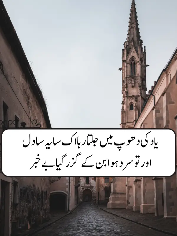 Dard Bhari Bewafa Shayari Urdu