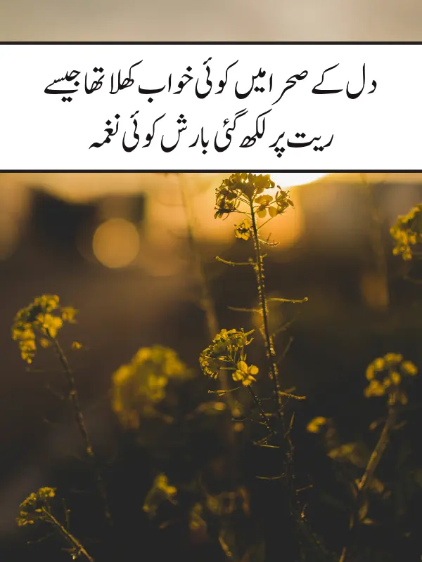 Deep Aesthetic Poetry in Urdu