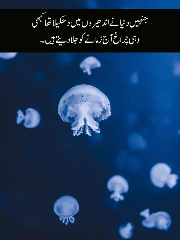 Deep Poetry (Shayari) Lines About Life
