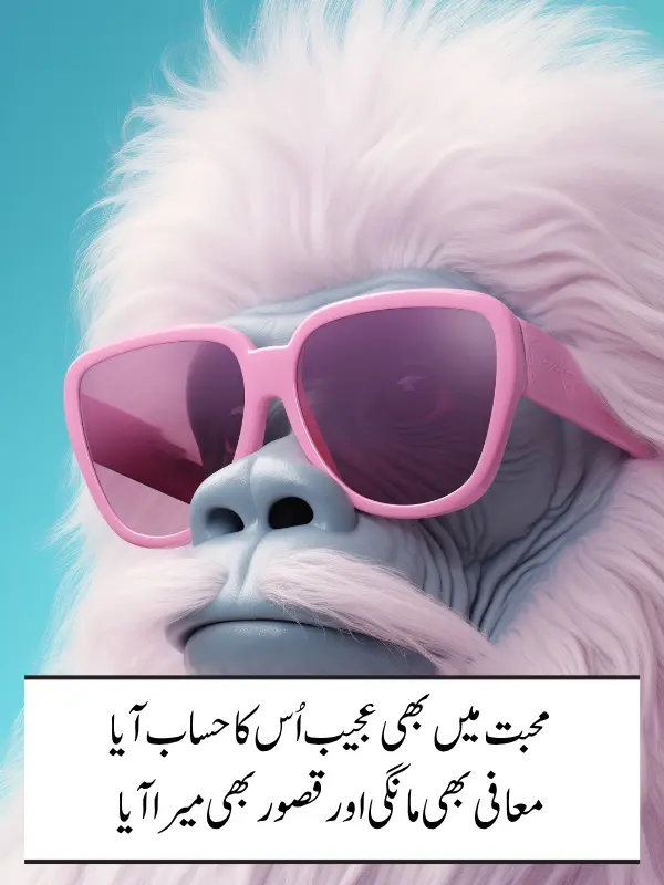 Funny Romantic Shayari in Urdu