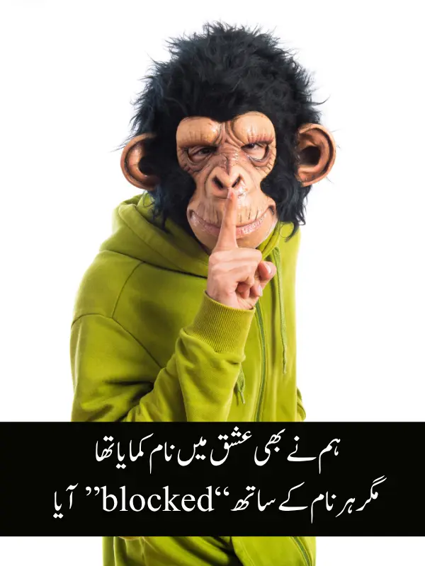 Funny Shayari in Urdu Sms