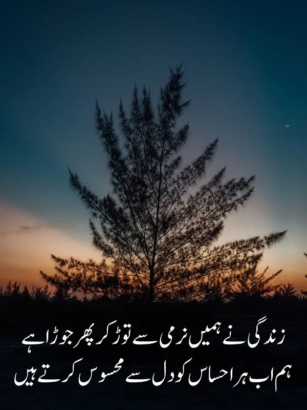 Life Poetry in Urdu Text
