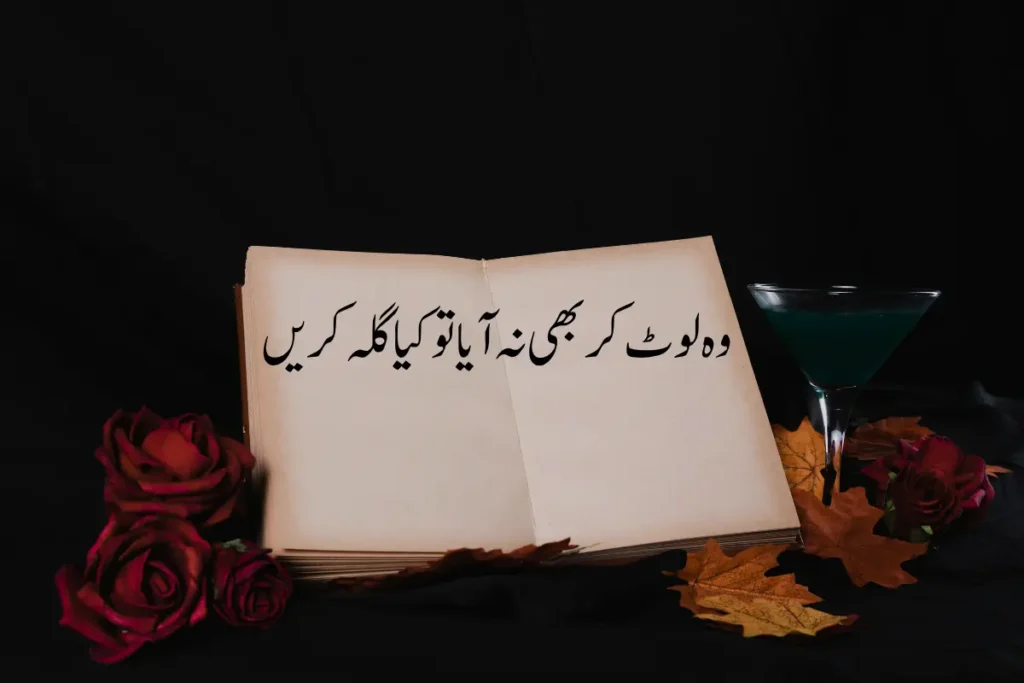 One Line Poetry in Urdu Text - Best 150+ 1 Line Shayari