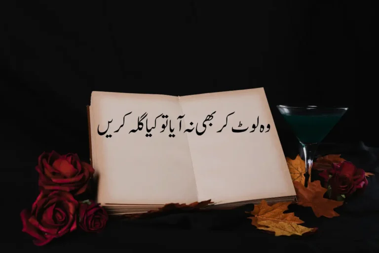 One Line Poetry in Urdu Text - Best 150+ 1 Line Shayari