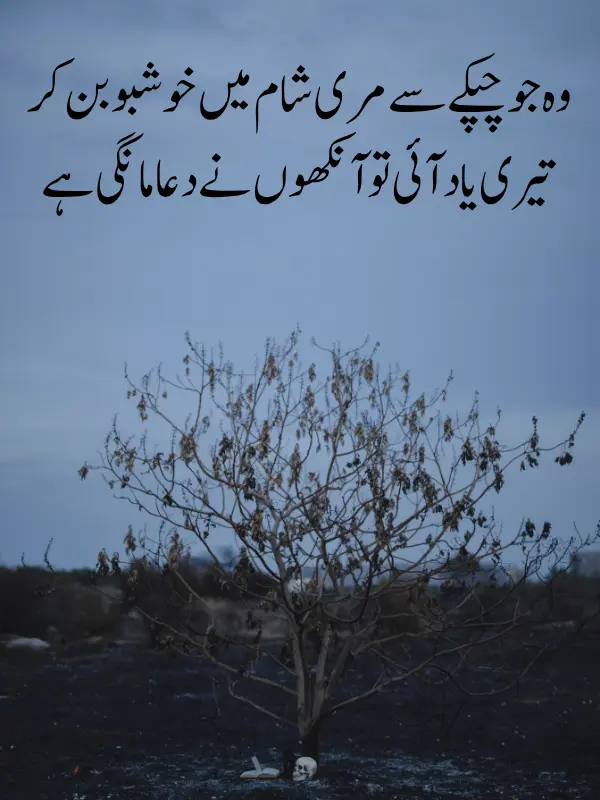 Teri Yaad Shayari in Urdu