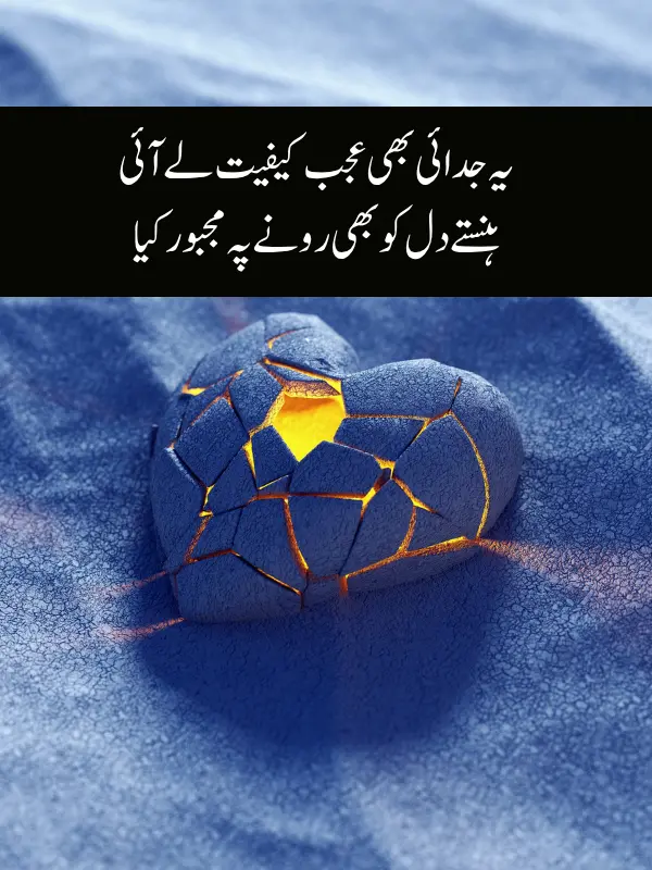 Top 10 Best Alvida Shayari in Urdu