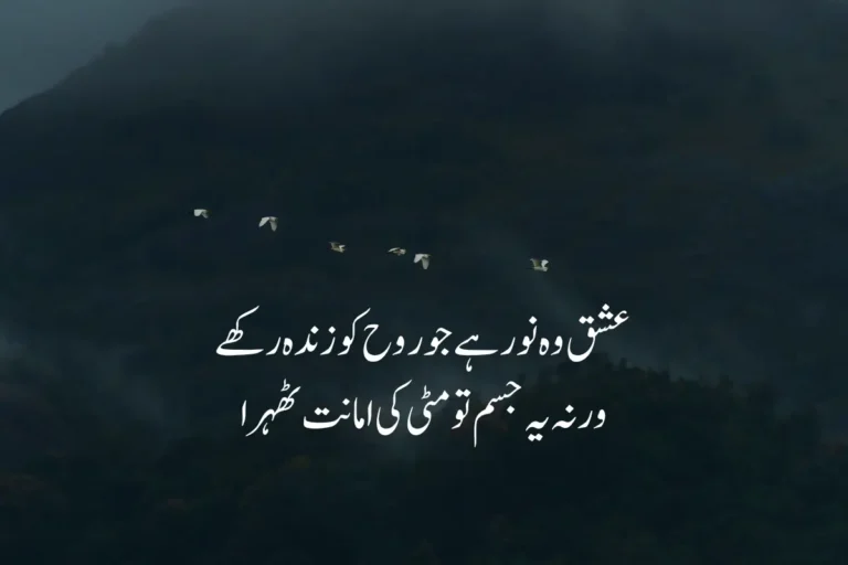Two Lines Poetry in Urdu Text - Top Best 250+ 2 Lines Shayari