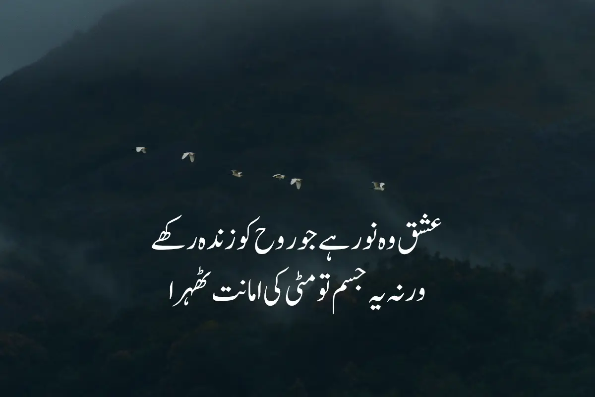 Two Lines Poetry in Urdu Text - Top Best 250+ 2 Lines Shayari
