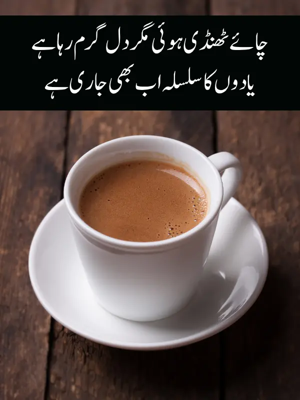 Chai Poetry in Urdu