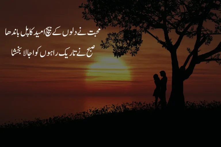 Mohabbat Poetry in Urdu Text - Best 2 Lines 230+ Ishq Shayari